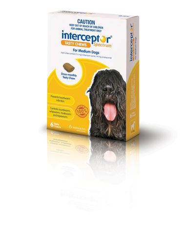 INTERCEPTOR MEDIUM 11-22KG YELLOW 6PACK