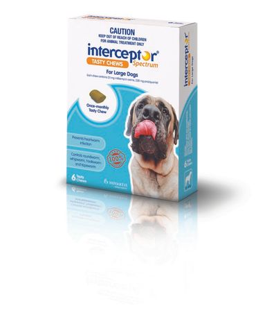 INTERCEPTOR LARGE 22-45KG BLUE 6PACK