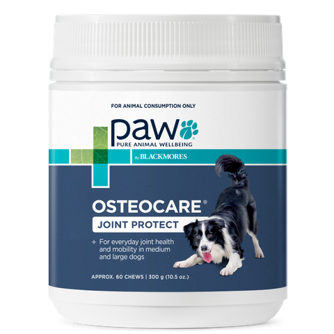 PAW OSTEOCARE CHEWS 300G