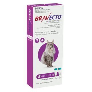 BRAVECTO CAT SPOT ON 6.25-12.5KG 2PACK
