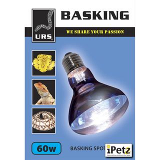 ULTIMATE REPTILE SUPPLIERS BASKING SPOT GLOBE 60W