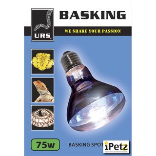 ULTIMATE REPTILE SUPPLIERS BASKING SPOT GLOBE 75W