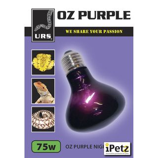 ULTIMATE REPTILE SUPPLIERS OZ PURPLE NIGHT GLOBE 75W