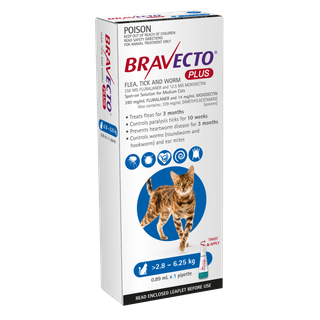 BRAVECTO PLUS CAT 2.8-6.25KG 1PACK