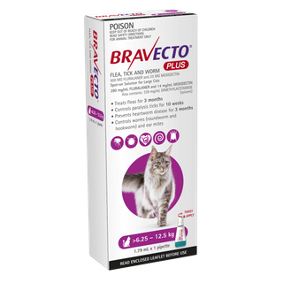 BRAVECTO PLUS CAT 6.25-12.5KG 1PACK