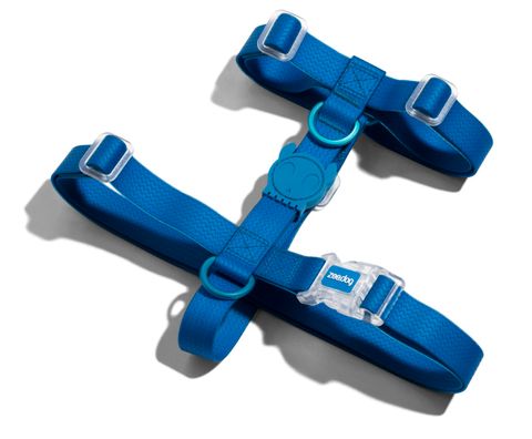 ZEE DOG NEOPRO BLUE H HARNESS LARGE