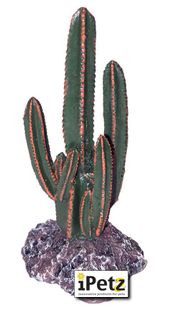 ULTIMATE REPTILE SUPPLIERS FINGER CACTUS TALL
