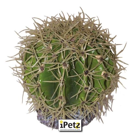 ULTIMATE REPTILE SUPPLIERS SPIKEY BALL CACTUS LARGE