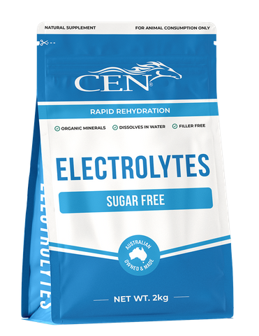 CEN COMPLETE ELECTROLYTE 2KG