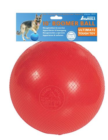 BOOMER BALL 10IN / 250MM