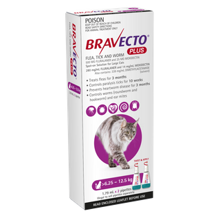 BRAVECTO PLUS CAT 6.25-12.5KG 2PK