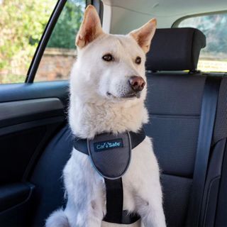 CarSafe Dog Travel Harness Black Medium