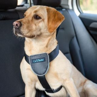CarSafe Dog Travel Harness Black Large