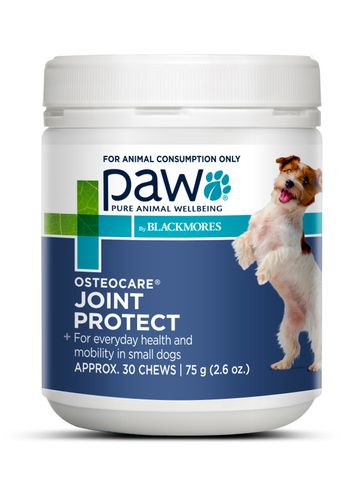 Paw best sale osteocare chews