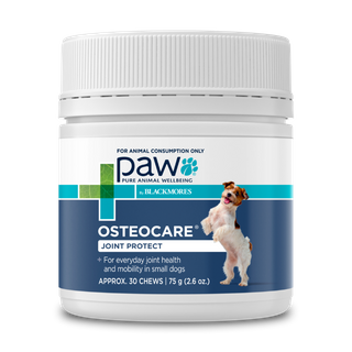 PAW OSTEOCARE JOINT PROTECT SMALL CHEWS 75G