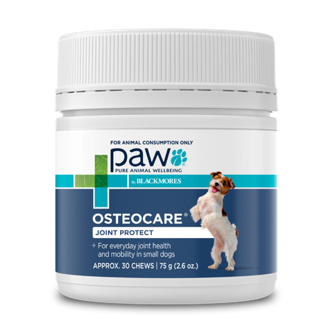 PAW OSTEOCARE JOINT PROTECT SMALL CHEWS 75G