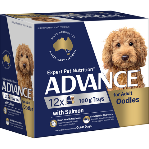 ADVANCE Wet Dog Adult Oodles 100gx12