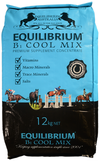 EQUILIBRIUM B1 COOL MIX 12KG