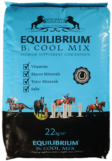 EQUILIBRIUM B1 COOL MIX 22KG