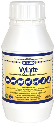 VETSENSE VYLYTE 250mL