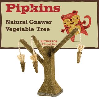 Petface Pipkins Natural Gnawer Veg Tree