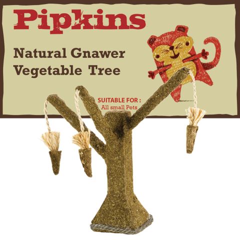 Petface Pipkins Natural Gnawer Veg Tree