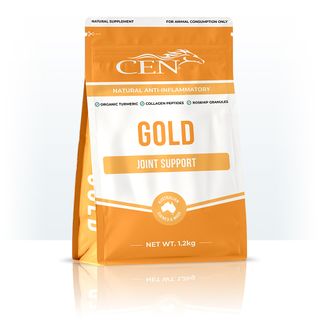 CEN GOLD 1.2KG