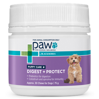 PAW DIGEST PROTECT PUPPY CARE 75G