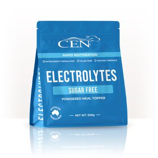 CEN DOG ELECTROLYTES 500G