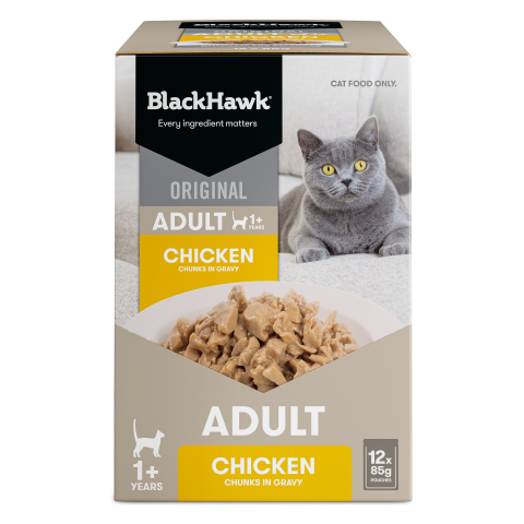 Black Hawk Original Cat Food Chicken in Gravy 85gx12