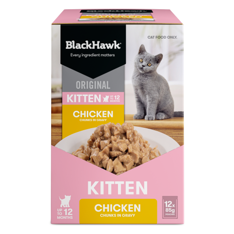 Black Hawk Original Kitten Food Chicken in Gravy 85gx12