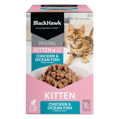 Black Hawk Original Kitten Food Chicken Oceanfish in Gravy 85gx12