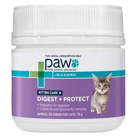 PAW Digest Protect Kitten Care 75g