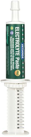 VETSENSE ELECTROLYTE PASTE PRO 60ML