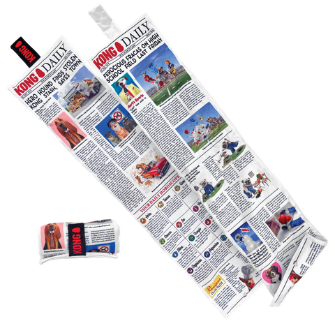 KONG Newspaper