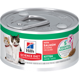 Science Diet Kitten Savory Salmon Entrée Canned Cat Food 24x82g