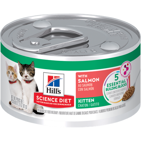 Science Diet Kitten Savory Salmon Entrée Canned Cat Food 24x82g