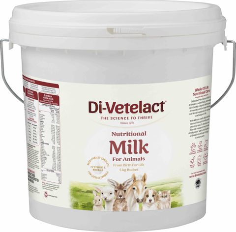 DiVetelact Nutritional Milk 5kg bucket
