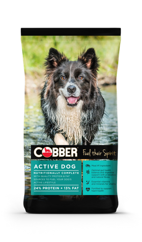 COBBER ACTIVE DOG 20KG
