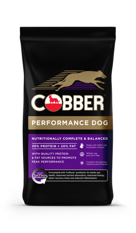 COBBER PERFORMANCE DOG 20KG