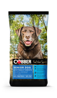 COBBER SENIOR DOG 20KG