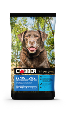 COBBER SENIOR DOG 20KG