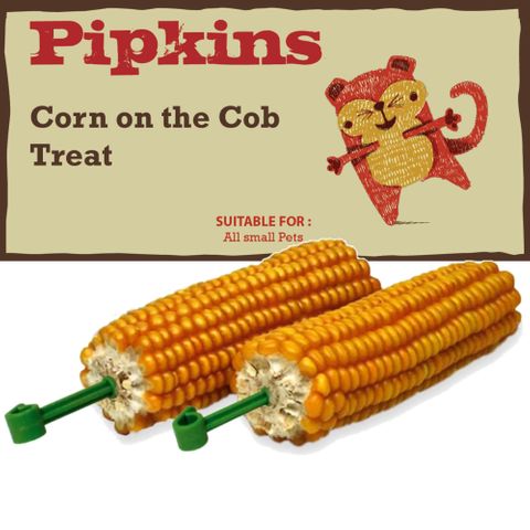 Petface Pipkins Mini Popcorn Special Treat 400g