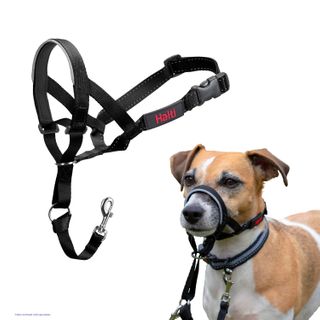 Halti Headcollar Black Size 0