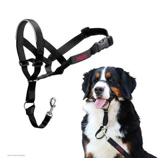 Halti Headcollar Black Size 5