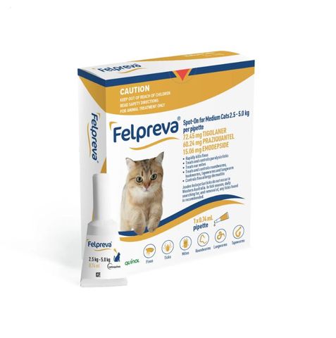 FELPREVA MEDIUM CATS 2.5-5KG SPOTON 1PK