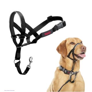 Halti Headcollar Black Size 3