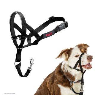 Halti Headcollar Black Size 2