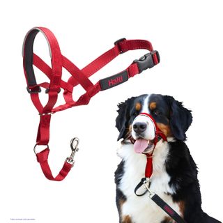 Halti Headcollar Red Size 4