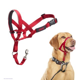 Halti Headcollar Red Size 3